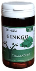 Ginkgo