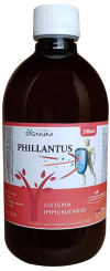 PHILLANTUS