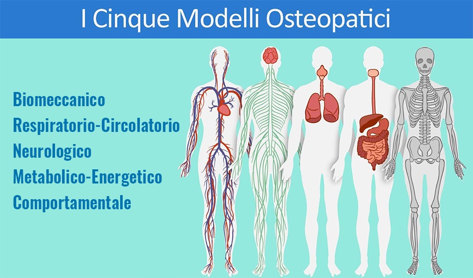 Cinque Modelli Osteopatici - Centro Terapie Osteopatiche