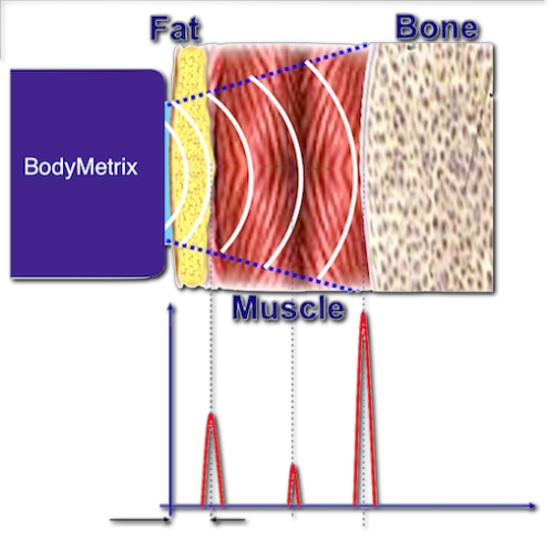 Nutrizione 1 - Centro Terapie Osteopatiche Nutrizione 1 - Centro Terapie Osteopatiche